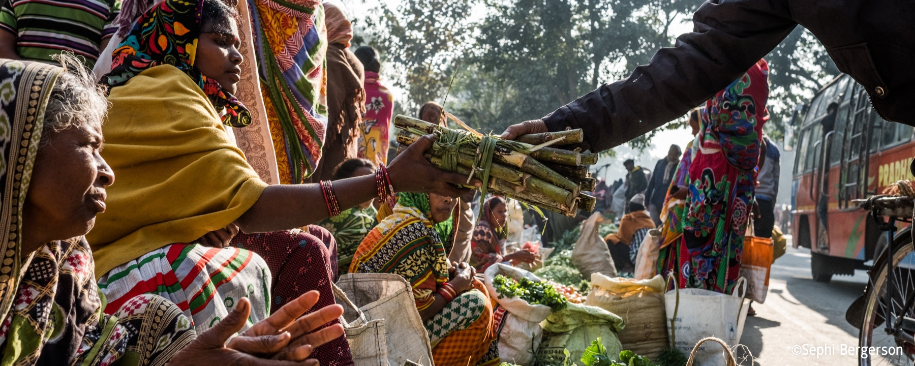 調査レポート「食料安全保障と健康」公開／Research Report “Food Security and Health” Released