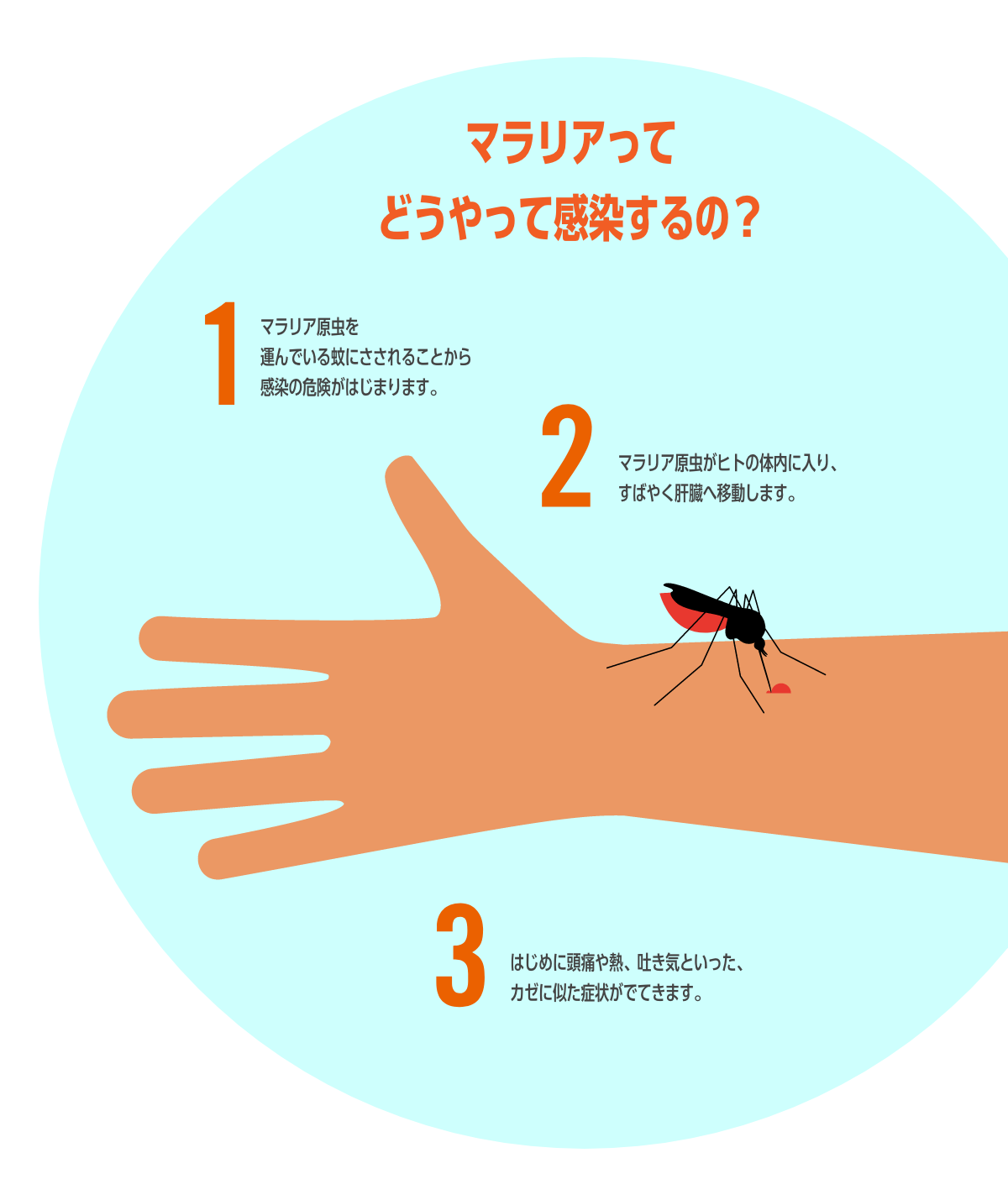 マラリアってどうやって感染するの？
